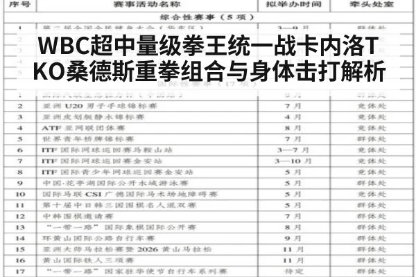 WBC超中量级拳王统一战卡内洛TKO桑德斯重拳组合与身体击打解析